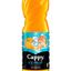 Cappy ice fruit