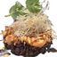 BLACK TARTARE SALMON