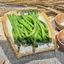 Garlic String Beans 蒜蓉四季豆