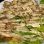 Chicken Caesar Salad