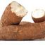Tubercules de Manioc
