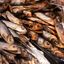 Dry Fish