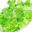Insalata Verde