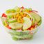 Garden Fresh Salad