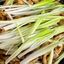 京酱肉丝 Stir Fried Pork Tenderloin with Green Onion