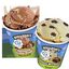 Ben & Jerrys 465ml