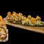 Maki mediterraneo