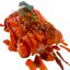 SALMONE PICCANTE