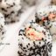SPICY CRAB ROLL