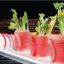 10. Tuna Dumpling (3pcs)