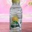 Volvic Zest Citron