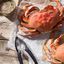 Dungeness Crab 1.75lb (Seasonal)