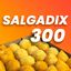 300 Salgadix
