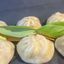 A3. Tse EAT Momo ( Gedämpfte ) ཤ་མེད་བཞེས་མོག ( རློངས་ཚོས། )