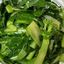 蒜炒唐芥兰 Stir fried Chinese Broccoli with Garlic