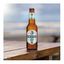 Rockshore Light 330 ml