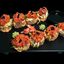 Spicy Tuna Roll