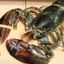 Lobster 1lb (Seasonal)