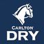 Carlton Dry