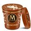 Magnum Almond