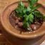 ლობიო \ Lobio Beans stew