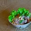 Yum Woon Sen (Vermicelli noodle salad) ยำวุ้นเส้น