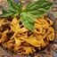 Tagliatelle Piemontese