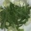 Insalata Verde
