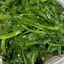 蒜蓉豆苗 Stir Fried Pea Sprouts with Garlic