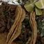 Tacos Carne Asada