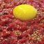 Beef tartare | 육회