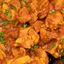 Chicken Rogan josh