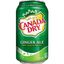 Can of Ginger ale