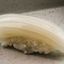 Ika Nigiri