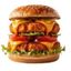 Double Spicy Big Chicken