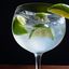 Gordon Gin