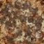 Pizza Tonno
