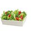 Green Salad