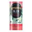 Kopparberg Gin & Lemonade Strawberry and Lime Can