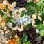 Fitness Bowl