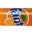 Fanta Orange Lattina 0,33 ml