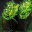 SEAWEED SALAD GUNKAN