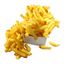 Grote friet