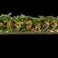I11 SAKE RUCOLA