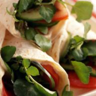 All Garden Club Wrap