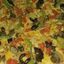 Vegetarian Pizza