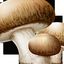 TACOS CHAMPIGNONS