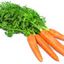 Carottes