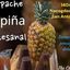 Tepache 16oz