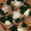 Pizza Regina